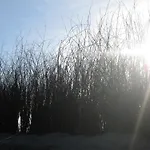Nyaraló Kolibri, Exklusiv Und Familiaer In Mit Anbindung Nach Baltrum *