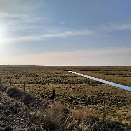 Kolibri, Exklusiv Und Familiaer In Mit Anbindung Nach Baltrum *