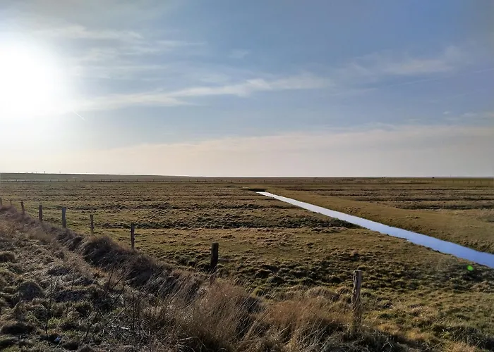 Kolibri, Exklusiv Und Familiaer In Mit Anbindung Nach Baltrum *